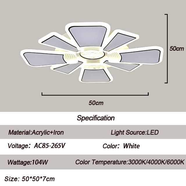 Remote Control Decorative Ceiling Light